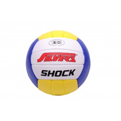 Silvers Shock Volleyball